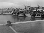 Porto di Senigallia Porto di Senigallia