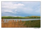 ...LANDSCAPE...