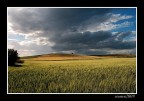 ...LANDSCAPE... ...LANDSCAPE...