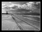 ...SULLA SPIAGGIA... ...SULLA SPIAGGIA...