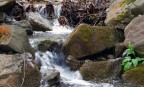 ruscello ruscello