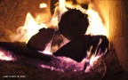 Fuoco Fuoco