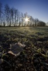 fRoZeN fRoZeN