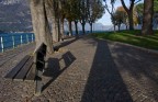 novembre novembre