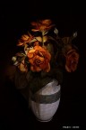 vaso con fiori vaso con fiori