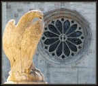 riproposta dell'aquila... riproposta dell'aquila...