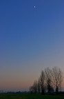 La luna e i pioppi La luna e i pioppi