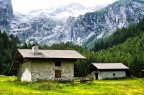 Trentino Alto Adige