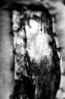 Particolari di discarica Particolari di discarica