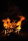 ardente ardente
