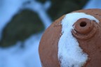 Snow Hole Snow Hole