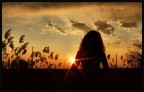 forse..domani.... forse..domani....