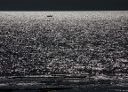 Barchetta in un mare di stelle Barchetta in un mare di stelle