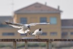 l'appuntamento l'appuntamento