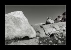 la via la via