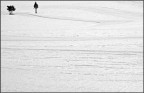 Minimal Minimal