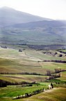 Sotto il sole della Toscana Sotto il sole della Toscana