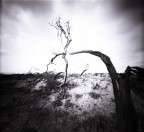 pinhole pinhole