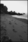 INSEGUENDO LA SOLITUDINE INSEGUENDO LA SOLITUDINE