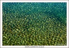 Semplicemente acqua Semplicemente acqua