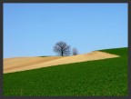appennino appennino