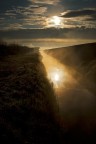 foschia al mattino foschia al mattino