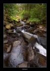 Killarney National Park Killarney National Park