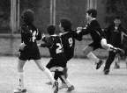 Goal!! Goal!!