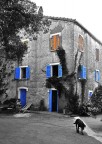 Casa corsa Casa corsa