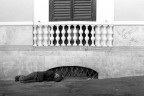 il balcone il balcone