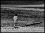 vagabondo.................... vagabondo....................