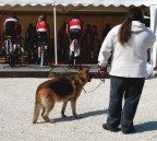 la soluzione..a portata di mano