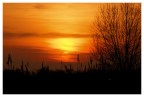 Tramonto tra il canneto Tramonto tra il canneto