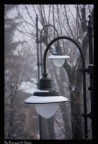 lampioni innevati... lampioni innevati...