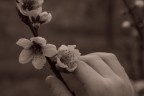 la primavera di un bimbo la primavera di un bimbo