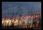 ...aspettando la notte... ...aspettando la notte...
