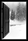 La Neve La Neve