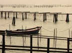 il delta del Pò il delta del Pò