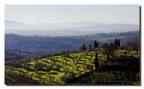 Veduta da Castelmuzio - SI Veduta da Castelmuzio - SI