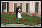 Ti Amo Ti Amo