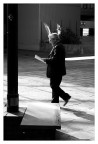 nel paese dei balocchi nel paese dei balocchi