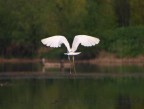 in volo.. in volo..