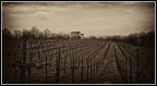 panorama sepppia panorama sepppia