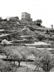 Paesaggio rurale Paesaggio rurale
