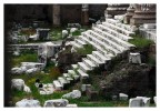 primavera nel foro primavera nel foro