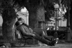 I belli addormentati I belli addormentati