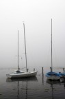 fog fog