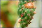 Vita spericolata... Vita spericolata...
