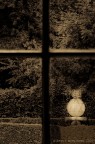 il giardino della morte e simboli della speranza il giardino della morte e simboli della speranza