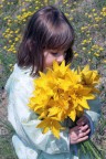 I fiori I fiori